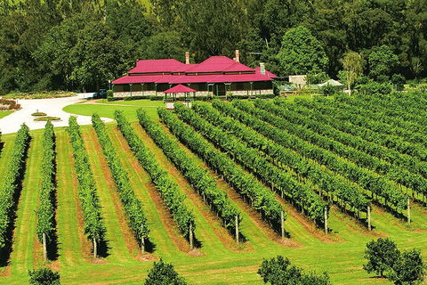 O'Reilly's & Lamington National Park From Gold Coast - Accommodation BNB 2