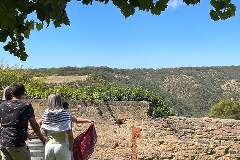 Private Mclaren Vale Wine Tour - Accommodation BNB 2
