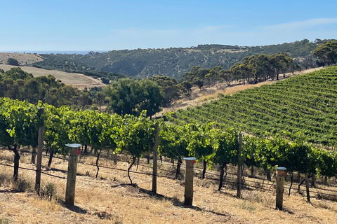 Private Mclaren Vale Wine Tour - Accommodation BNB 3
