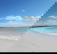 Shipwreck Special Nature Tour/Half Day Tour - Accommodation BNB