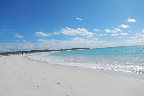 Shipwreck Special Nature Tour/Half Day Tour - Accommodation BNB 0