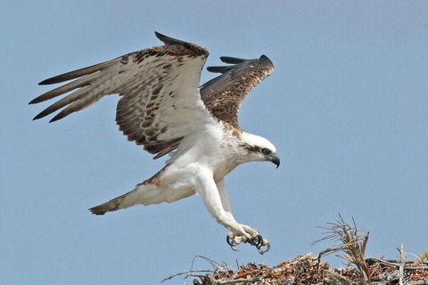 Shipwreck Special Nature Tour/Half Day Tour - Accommodation BNB 4