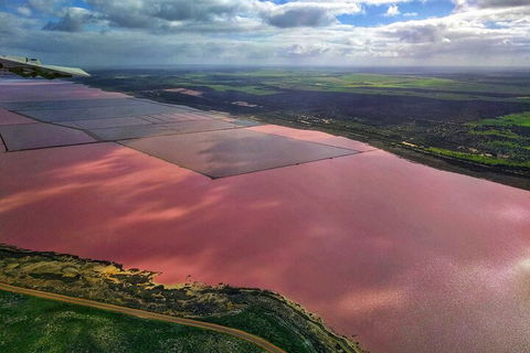 Kalbarri, Pink Lake And Abrolhos Islands Nature Tour - Accommodation BNB 1