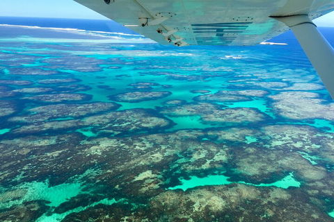 Kalbarri, Pink Lake And Abrolhos Islands Nature Tour - Accommodation BNB 5