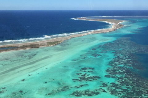 Pink Lake + Abrolhos Islands Nature Tour - Accommodation BNB 2