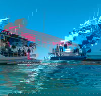 Best of Moreton Bay Cruise - Accommodation BNB