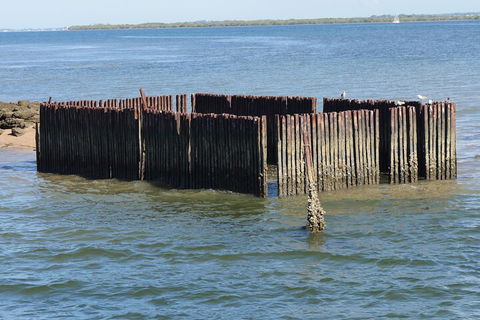 Best Of Moreton Bay Cruise - Accommodation BNB 1