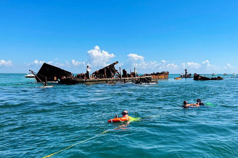 Best Of Moreton Bay Cruise - Accommodation BNB 5