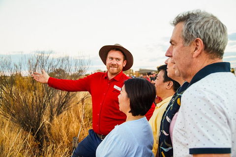 Uluru (Ayers Rock) Sunset With Outback Barbecue Dinner And Star Tour - Accommodation BNB 3