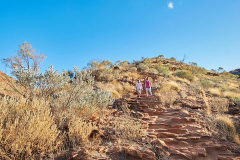 Kings Canyon Guided Rim Walk - Accommodation BNB 1