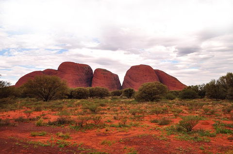 Ayers Rock Combo: Uluru Base And Sunset Plus Uluru Sunrise And Kata Tjuta With An Optional BBQ Dinner Or Kings Canyon Day Trip - Accommodation BNB 1