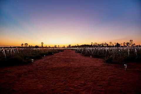 Uluru (Ayers Rock) Field Of Light Sunrise Tour - Accommodation BNB 3
