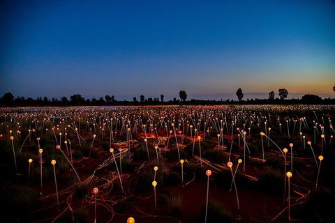 Uluru (Ayers Rock) Field Of Light Sunrise Tour - Accommodation BNB 4