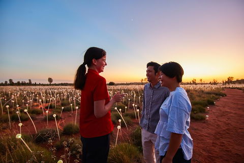 Uluru (Ayers Rock) Field Of Light Sunrise Tour - Accommodation BNB 5