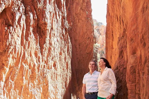 West MacDonnell Ranges- Half Day Trip From Alice Springs - Accommodation BNB 2