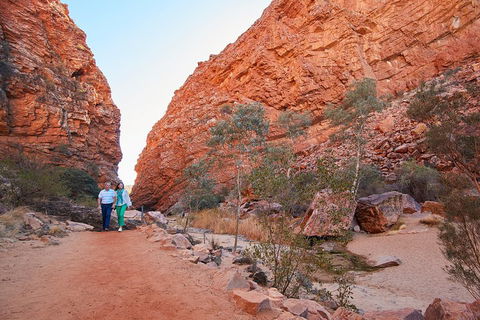 Best Of Alice Springs Full Day Tour - Accommodation BNB 1