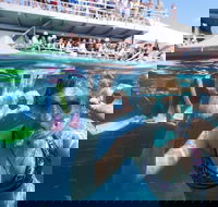 Great Barrier Reef Day Cruise from Cairns Including Snorkeling and Marine Biologist Presentation - Accommodation BNB