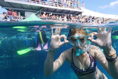 Great Barrier Reef Day Cruise From Cairns Including Snorkeling And Marine Biologist Presentation - Accommodation BNB 0