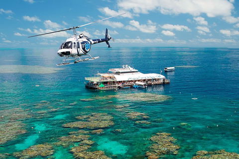 Great Barrier Reef Day Cruise From Cairns Including Snorkeling And Marine Biologist Presentation - Accommodation BNB 5