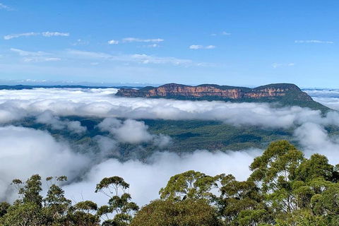 Small-Group Blue Mountains Tour With A Local Guide - Accommodation BNB 4