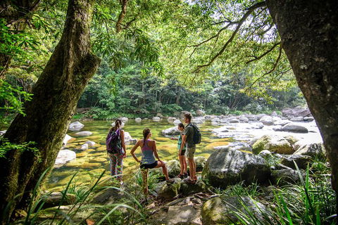 Private Daintree Mossman Gorge Exclusive Nature And Wildlife Focus - Accommodation BNB 5