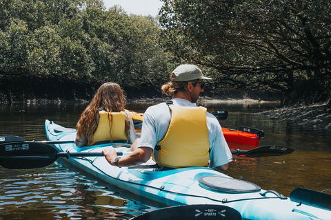 Kayak Tour In Adelaide Dolphin Sanctuary - Accommodation BNB 2