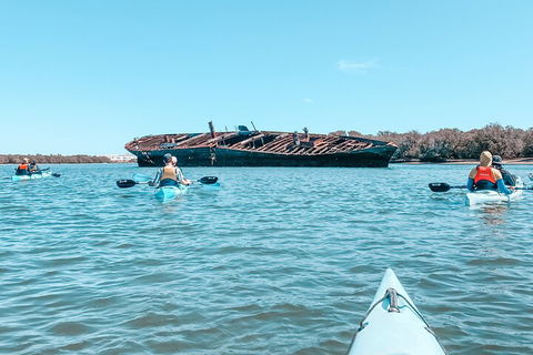 Kayak Tour In Adelaide Dolphin Sanctuary - Accommodation BNB 3