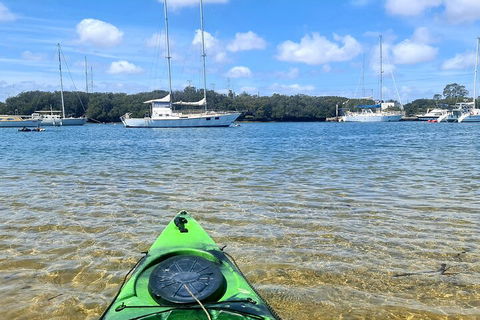 Kayak Tour In Adelaide Dolphin Sanctuary - Accommodation BNB 4