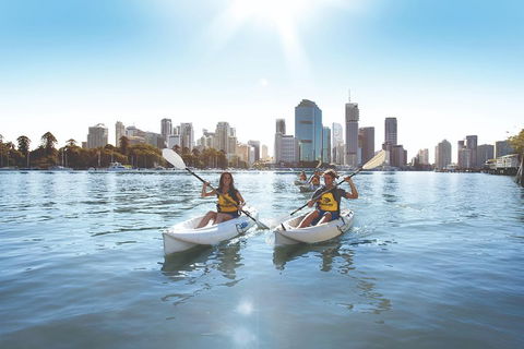 Brisbane Kayak Tour - Accommodation BNB 0