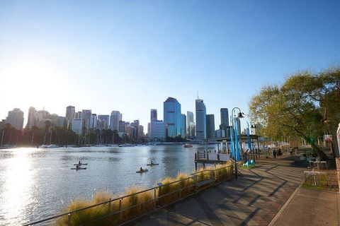 Brisbane Kayak Tour - Accommodation BNB 1