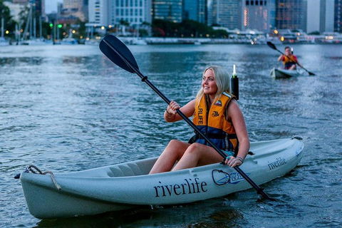 Brisbane Kayak Tour - Accommodation BNB 2