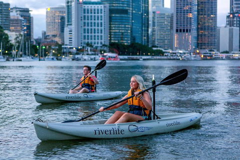 Brisbane Kayak Tour - Accommodation BNB 3