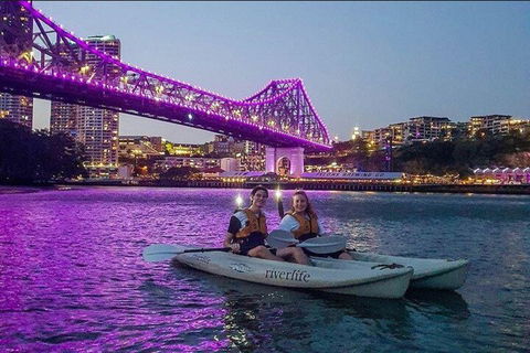 Brisbane Kayak Tour - Accommodation BNB 4