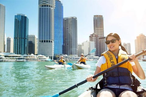 Brisbane Kayak Tour - Accommodation BNB 5