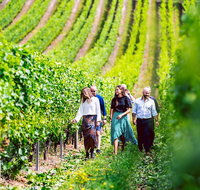 Tasmanian Wine Tour - Accommodation BNB
