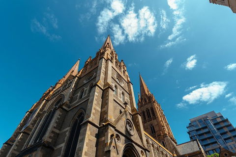 Highlights & Hidden Gems With Locals: Best Of Melbourne Private Tour - Accommodation BNB 4