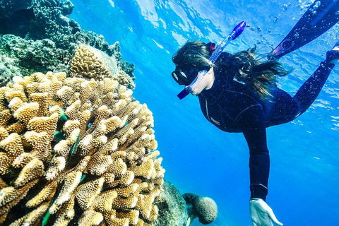 Green Island Day Trip From Cairns - Accommodation BNB 1