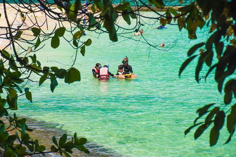 Green Island Day Trip From Cairns - Accommodation BNB 2