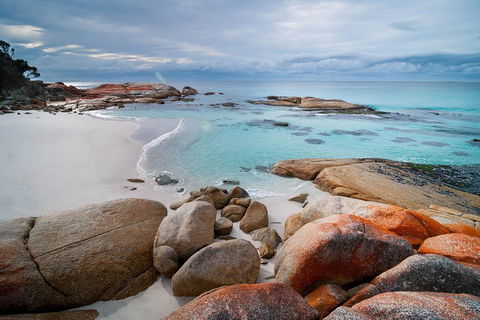 Wineglass Bay Private Charter Service - Accommodation BNB 0