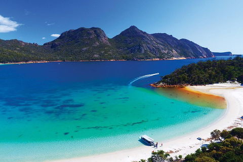 Wineglass Bay Private Charter Service - Accommodation BNB 1