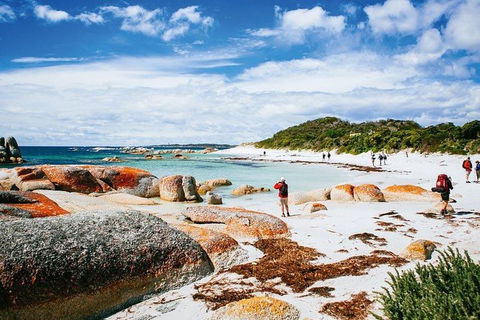 Wineglass Bay Private Charter Service - Accommodation BNB 3
