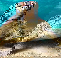 Sail Snorkel SUP  Kayak Charter Whitsundays - Accommodation BNB