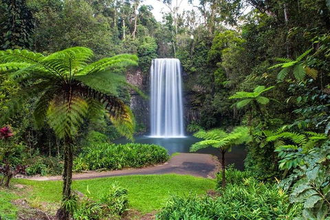 Cairns & Port Douglas All-Inclusive 7 Days Touring Package - Accommodation BNB 2