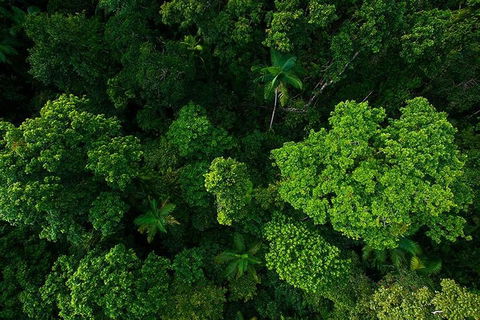 Cairns & Port Douglas All-Inclusive 7 Days Touring Package - Accommodation BNB 4