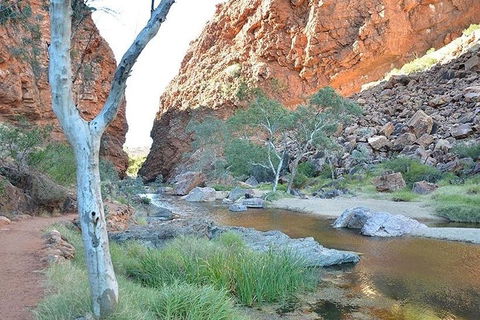 Alice Springs, Uluru Ayers Rock & Kings Canyon 8 Days Touring Package - Accommodation BNB 2