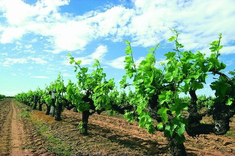 7 Days Perth All-Inclusive Touring Grand Package - Accommodation BNB 2