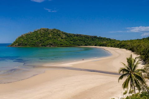 Daintree And Cape Tribulation Tour From Cairns - Accommodation BNB 1