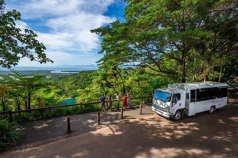 Daintree And Cape Tribulation Tour From Cairns - Accommodation BNB 3