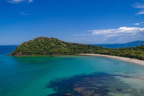 Daintree And Cape Tribulation Tour From Cairns - Accommodation BNB 4