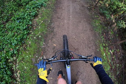 Explore Downhill Mountain In 3-Hour Bike Tour From Hobart - Accommodation BNB 2